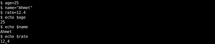 Define and Use Variable In Bash