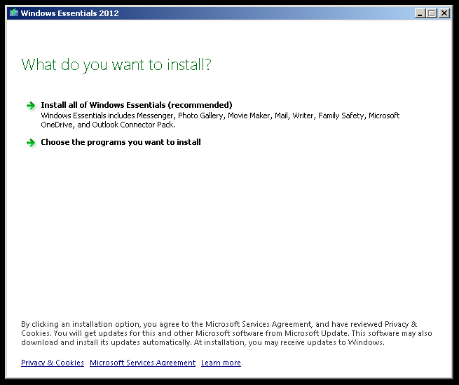 Windows Essentials Select Installation Type Full or Selection
