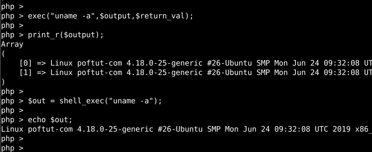 exec() Function vs shel_exec() Function