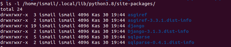 Python“pip install–user”命令-yiteyi-C++库