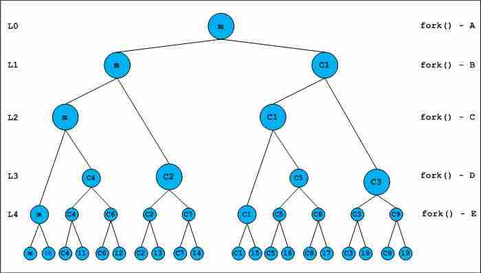 fork（）与二叉树-yiteyi-C++库