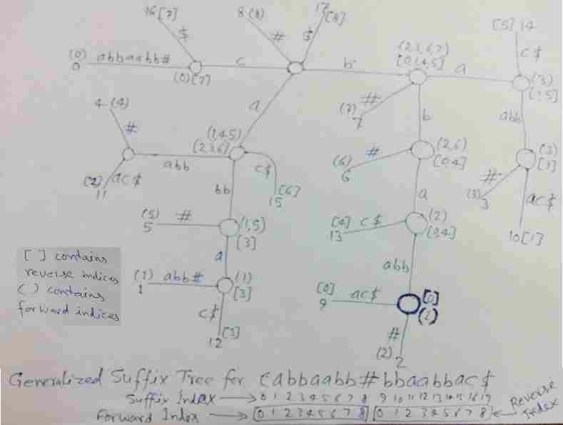 Suffix Tree Application